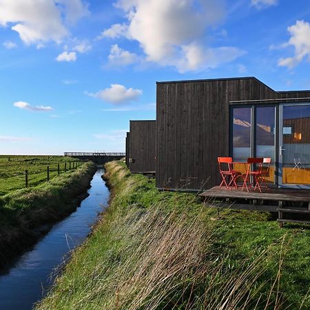 Tiny House Nature 9 Zur Kuhweide - Green Tiny Village Harlesiel Carolinensiel Extérieur photo